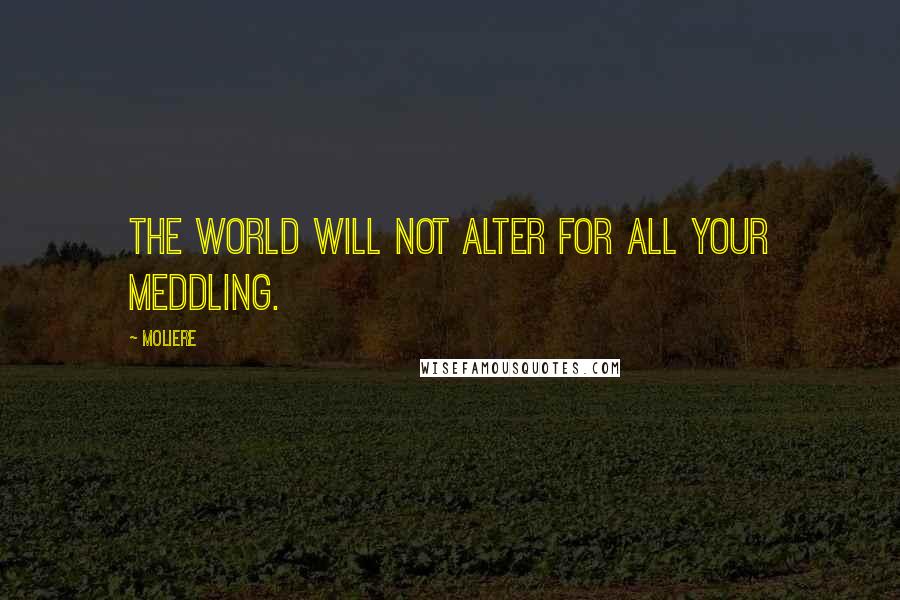 Moliere Quotes: The world will not alter for all your meddling.