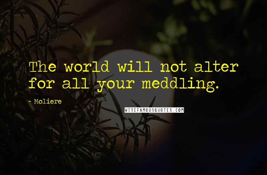 Moliere Quotes: The world will not alter for all your meddling.