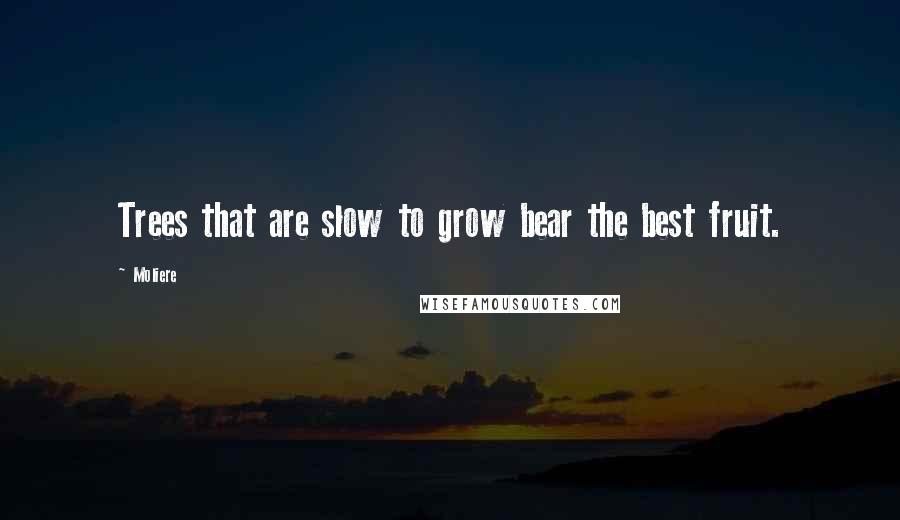 Moliere Quotes: Trees that are slow to grow bear the best fruit.