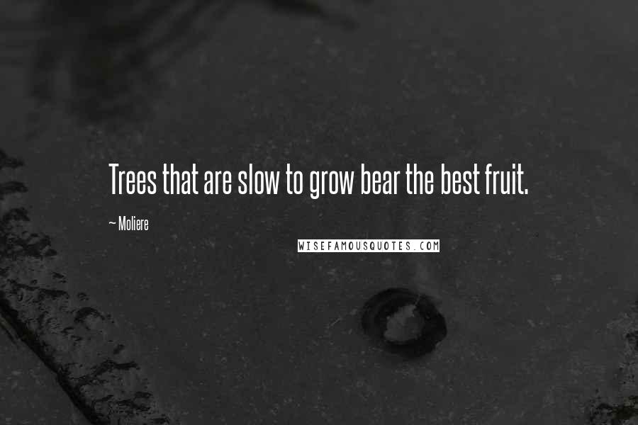 Moliere Quotes: Trees that are slow to grow bear the best fruit.