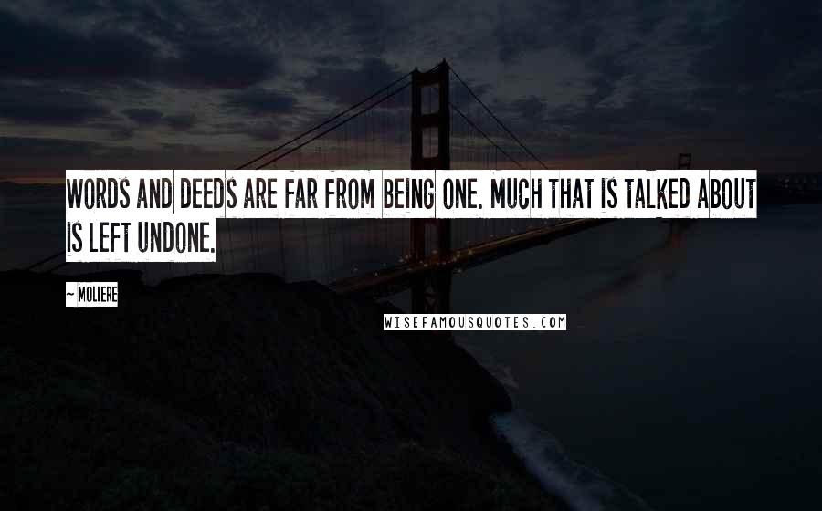 Moliere Quotes: Words and deeds are far from being one. Much that is talked about is left undone.