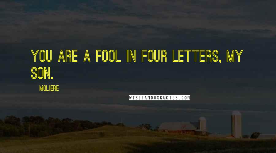 Moliere Quotes: You are a fool in four letters, my son.