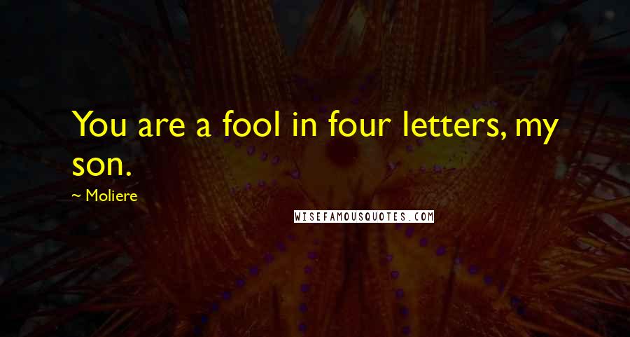 Moliere Quotes: You are a fool in four letters, my son.