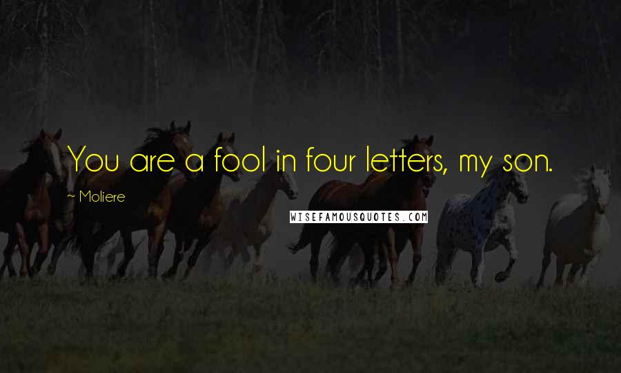 Moliere Quotes: You are a fool in four letters, my son.