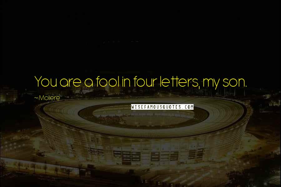 Moliere Quotes: You are a fool in four letters, my son.