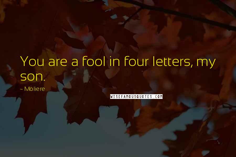 Moliere Quotes: You are a fool in four letters, my son.