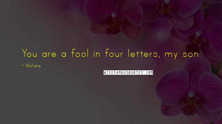 Moliere Quotes: You are a fool in four letters, my son.