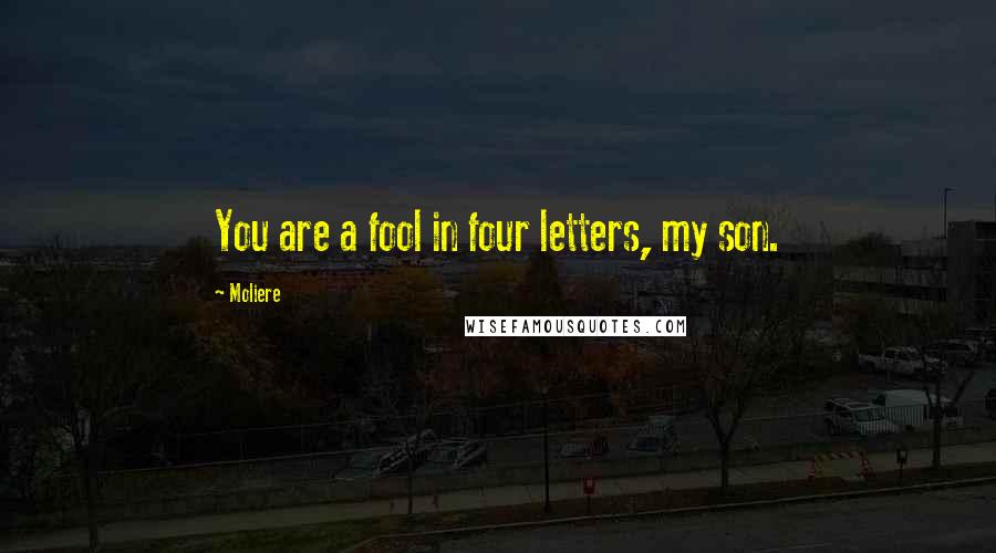 Moliere Quotes: You are a fool in four letters, my son.