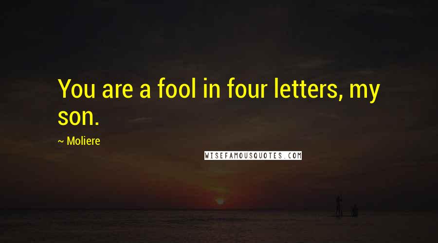 Moliere Quotes: You are a fool in four letters, my son.