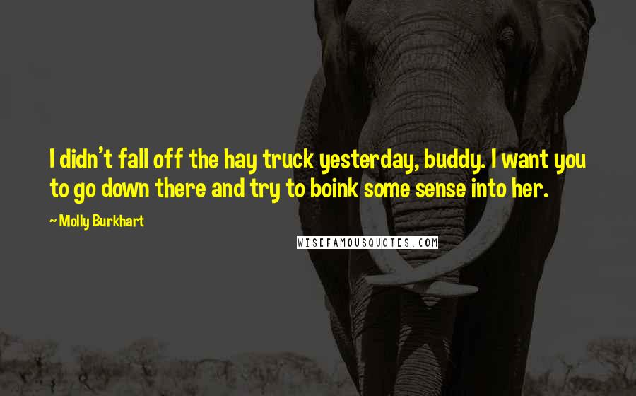 Molly Burkhart Quotes: I didn't fall off the hay truck yesterday, buddy. I want you to go down there and try to boink some sense into her.