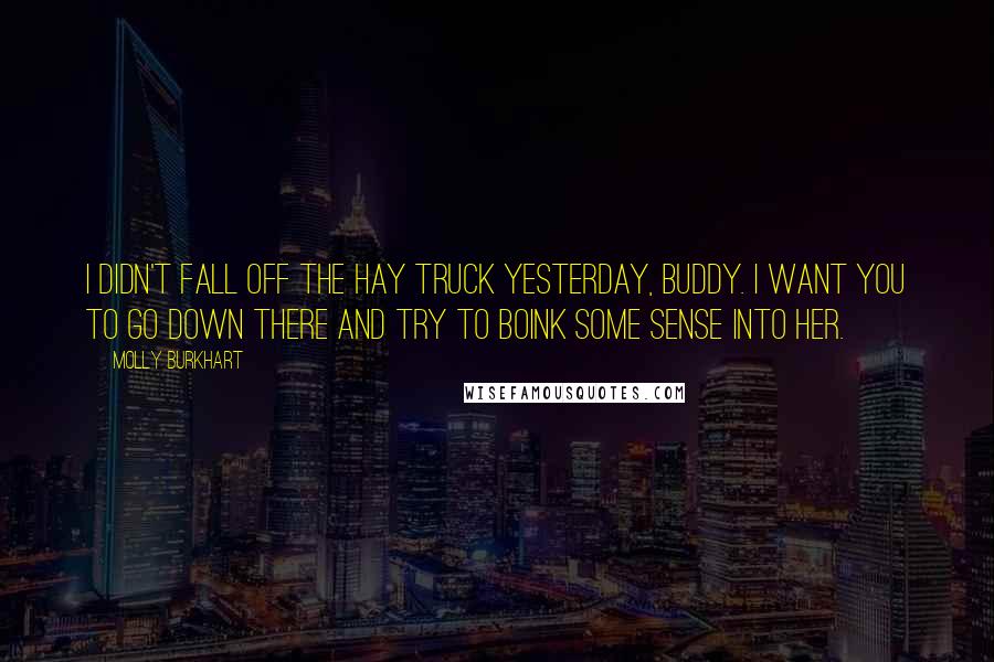 Molly Burkhart Quotes: I didn't fall off the hay truck yesterday, buddy. I want you to go down there and try to boink some sense into her.