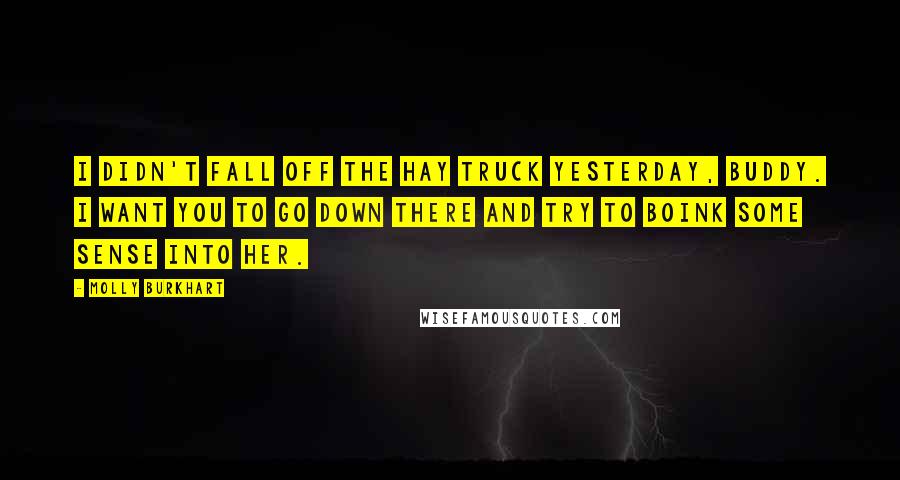 Molly Burkhart Quotes: I didn't fall off the hay truck yesterday, buddy. I want you to go down there and try to boink some sense into her.