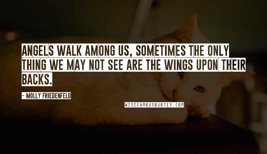 Molly Friedenfeld Quotes: Angels walk among us, Sometimes the only thing we may not see are the wings upon their backs.