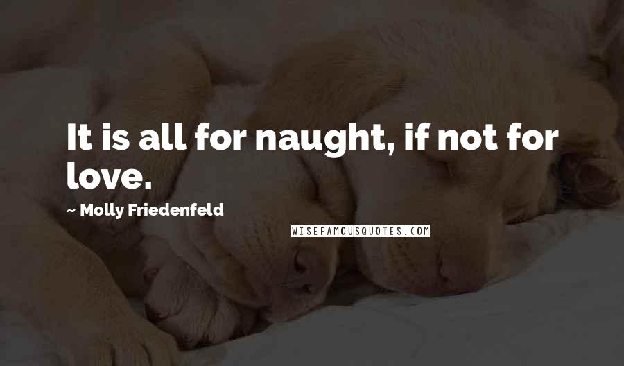 Molly Friedenfeld Quotes: It is all for naught, if not for love.