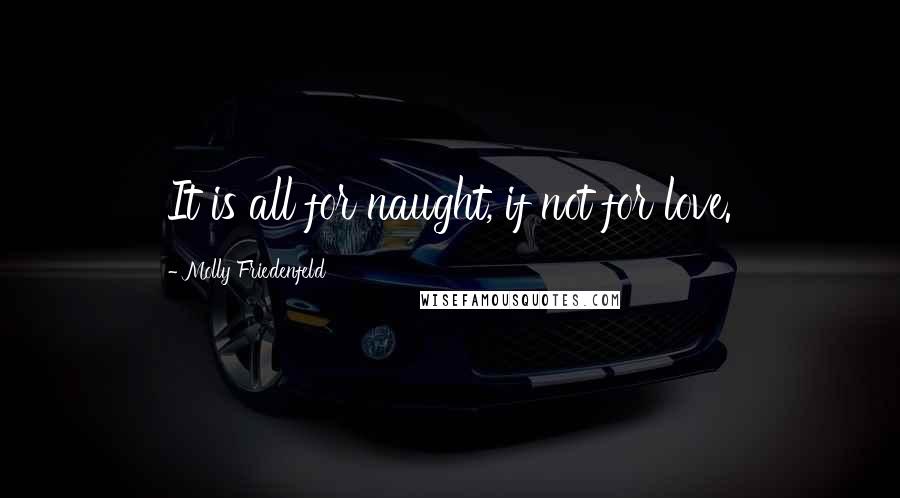 Molly Friedenfeld Quotes: It is all for naught, if not for love.