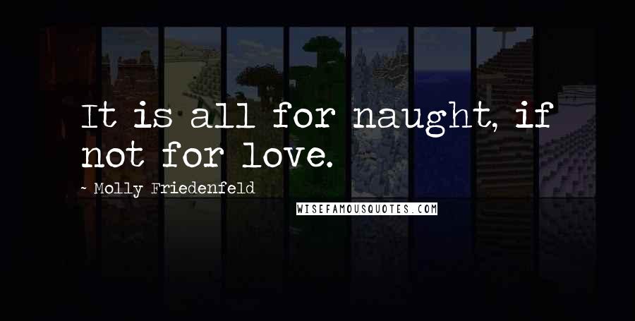 Molly Friedenfeld Quotes: It is all for naught, if not for love.