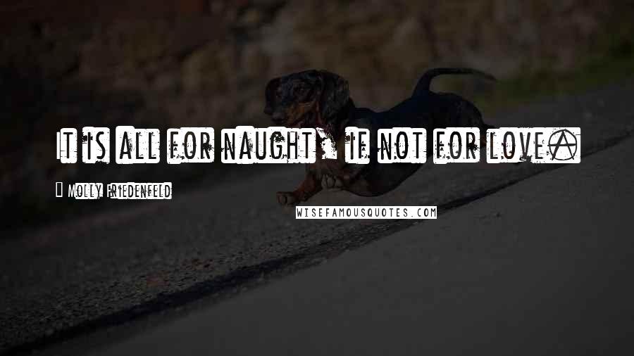 Molly Friedenfeld Quotes: It is all for naught, if not for love.