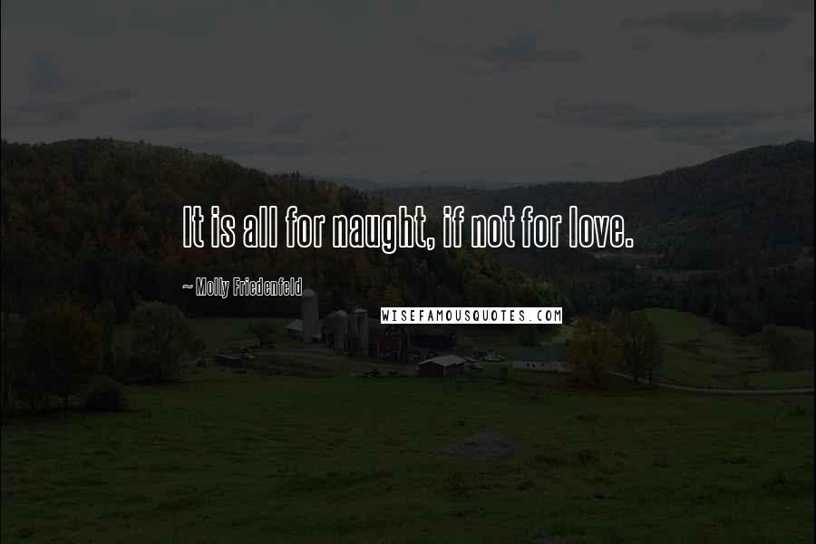 Molly Friedenfeld Quotes: It is all for naught, if not for love.