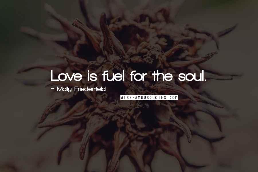 Molly Friedenfeld Quotes: Love is fuel for the soul.