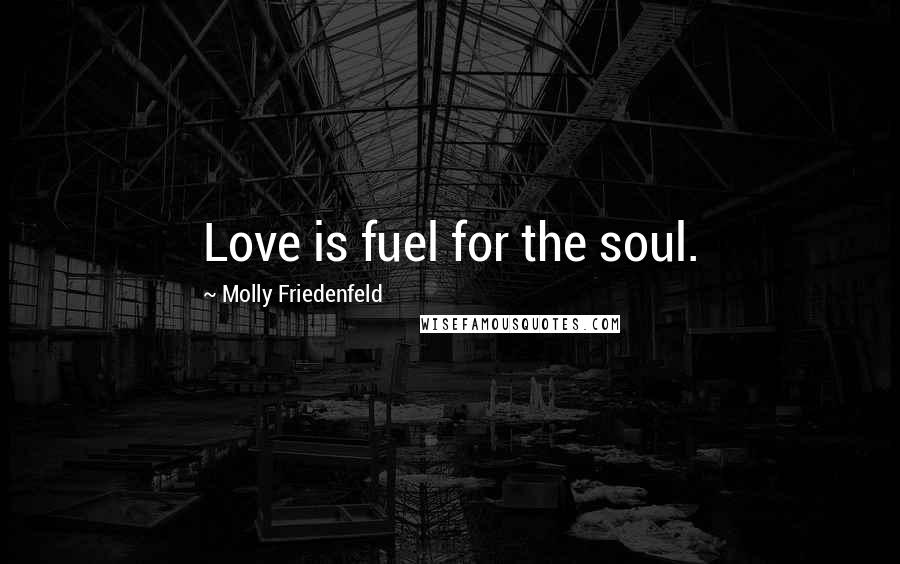 Molly Friedenfeld Quotes: Love is fuel for the soul.