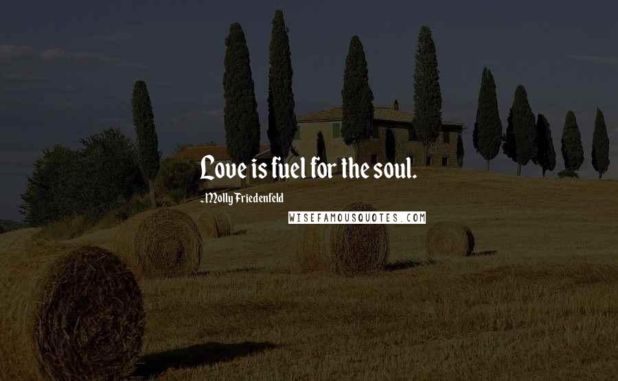 Molly Friedenfeld Quotes: Love is fuel for the soul.