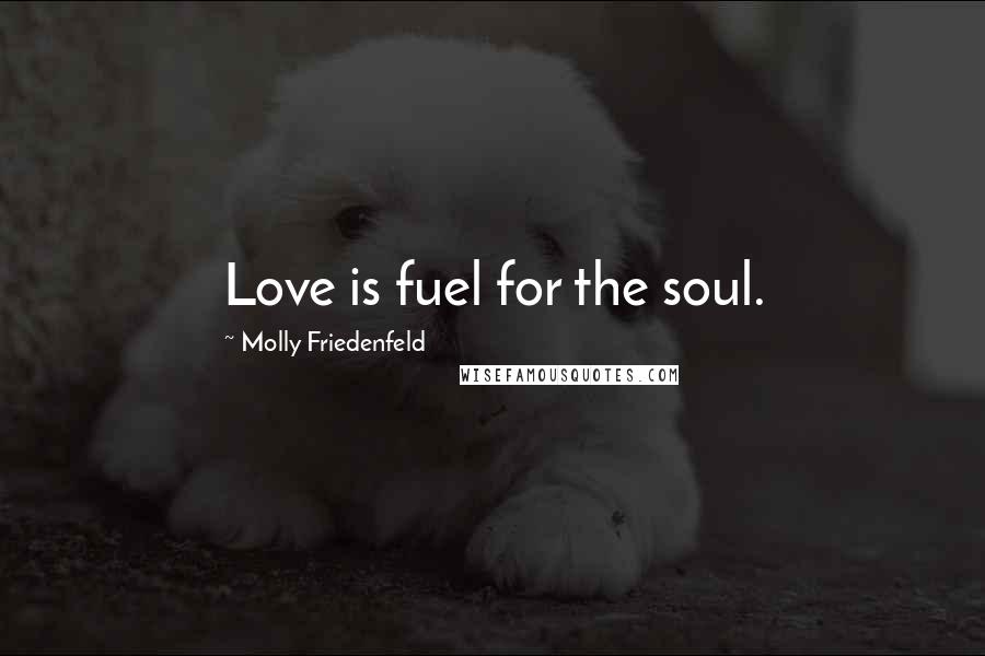 Molly Friedenfeld Quotes: Love is fuel for the soul.