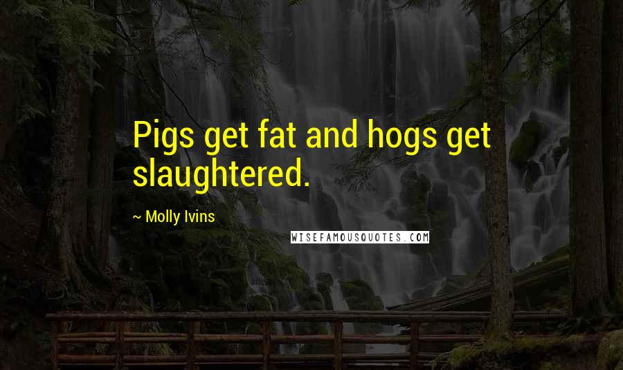 Molly Ivins Quotes: Pigs get fat and hogs get slaughtered.