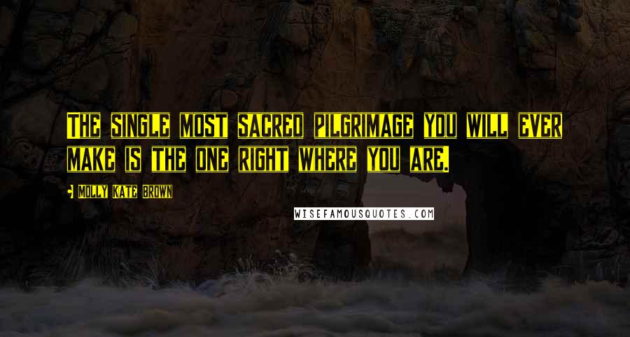 Molly Kate Brown Quotes: The single most sacred pilgrimage you will ever make is the one right where you are.