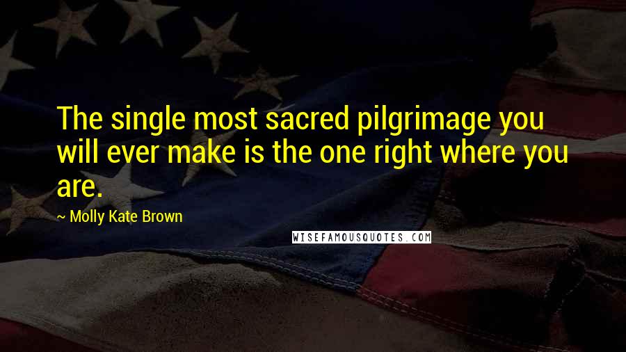 Molly Kate Brown Quotes: The single most sacred pilgrimage you will ever make is the one right where you are.