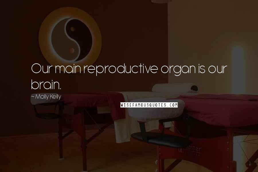 Molly Kelly Quotes: Our main reproductive organ is our brain.