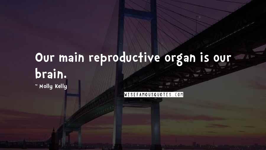 Molly Kelly Quotes: Our main reproductive organ is our brain.