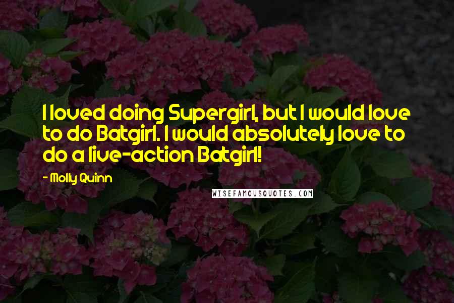 Molly Quinn Quotes: I loved doing Supergirl, but I would love to do Batgirl. I would absolutely love to do a live-action Batgirl!