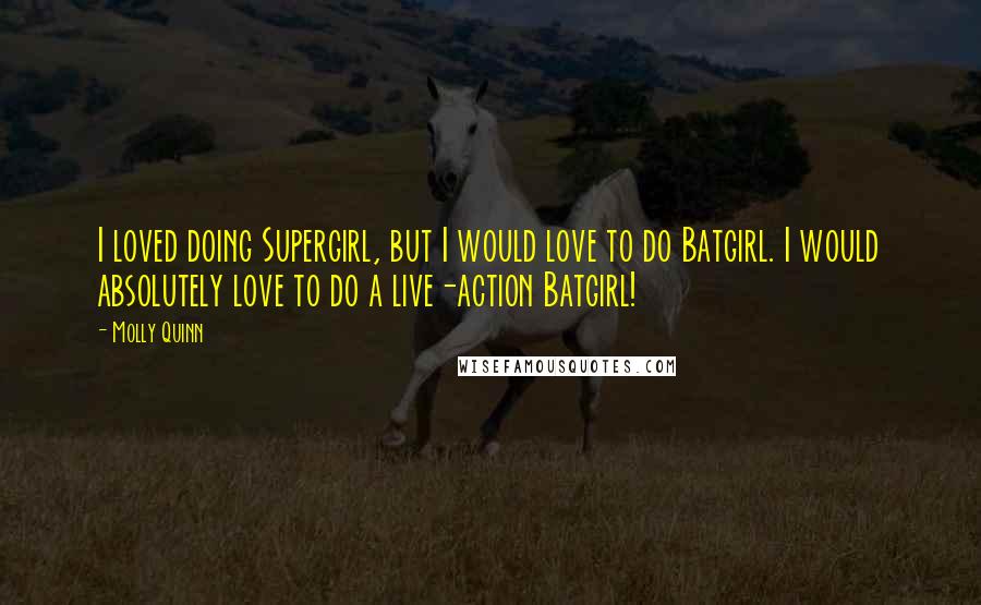 Molly Quinn Quotes: I loved doing Supergirl, but I would love to do Batgirl. I would absolutely love to do a live-action Batgirl!