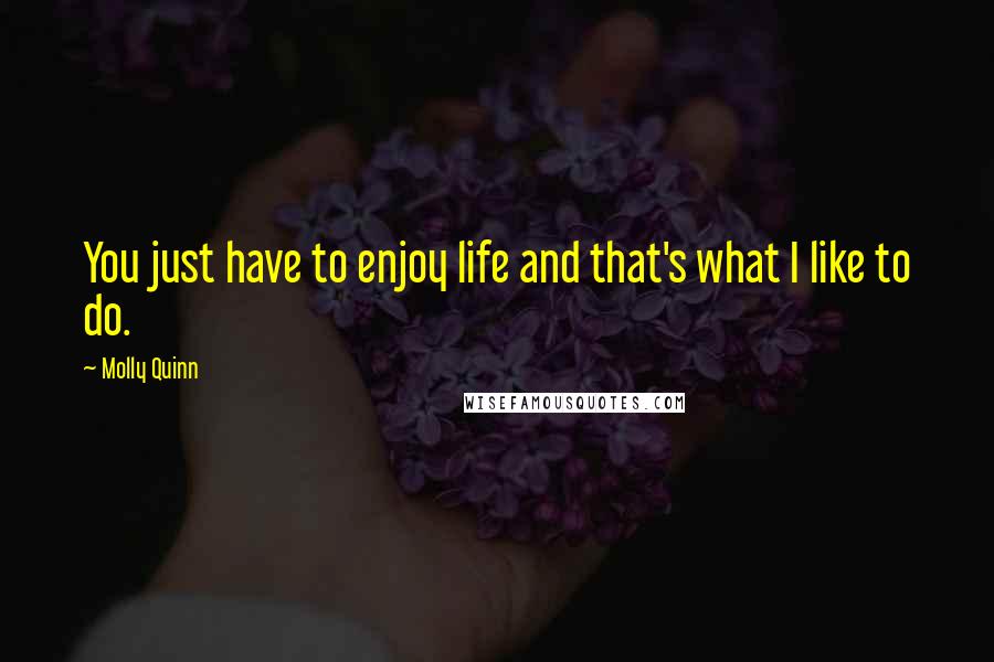 Molly Quinn Quotes: You just have to enjoy life and that's what I like to do.