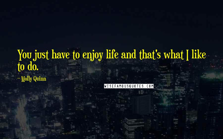 Molly Quinn Quotes: You just have to enjoy life and that's what I like to do.