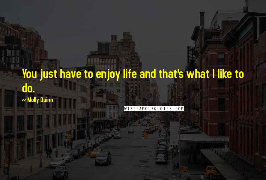Molly Quinn Quotes: You just have to enjoy life and that's what I like to do.