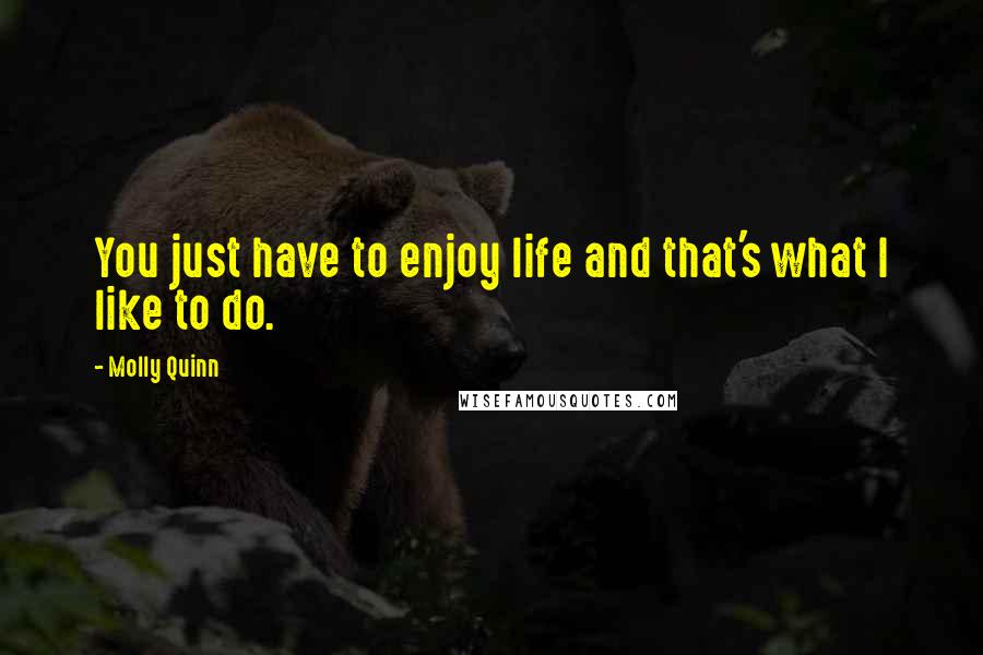 Molly Quinn Quotes: You just have to enjoy life and that's what I like to do.