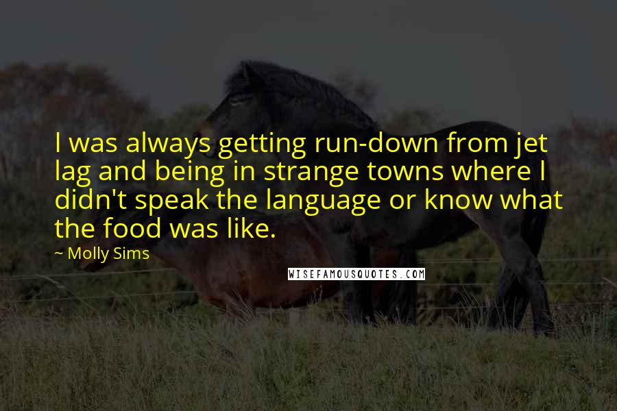 Molly Sims Quotes: I was always getting run-down from jet lag and being in strange towns where I didn't speak the language or know what the food was like.