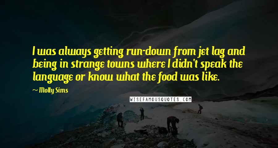Molly Sims Quotes: I was always getting run-down from jet lag and being in strange towns where I didn't speak the language or know what the food was like.