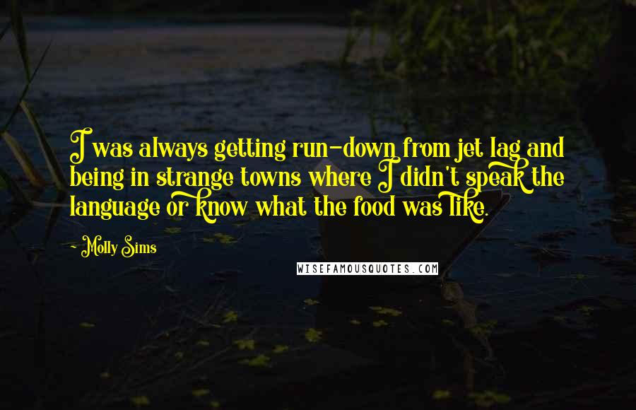 Molly Sims Quotes: I was always getting run-down from jet lag and being in strange towns where I didn't speak the language or know what the food was like.