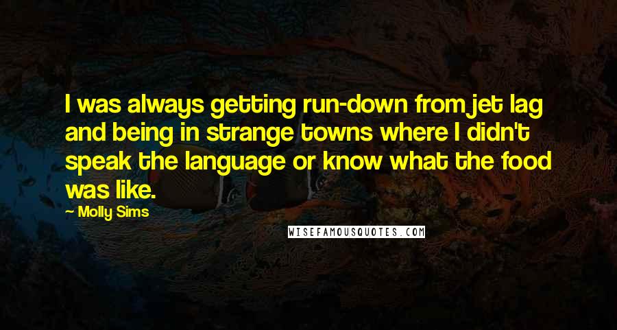 Molly Sims Quotes: I was always getting run-down from jet lag and being in strange towns where I didn't speak the language or know what the food was like.