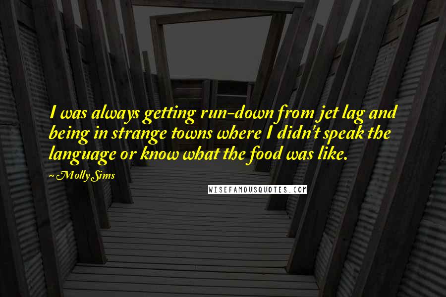 Molly Sims Quotes: I was always getting run-down from jet lag and being in strange towns where I didn't speak the language or know what the food was like.