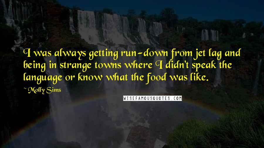 Molly Sims Quotes: I was always getting run-down from jet lag and being in strange towns where I didn't speak the language or know what the food was like.