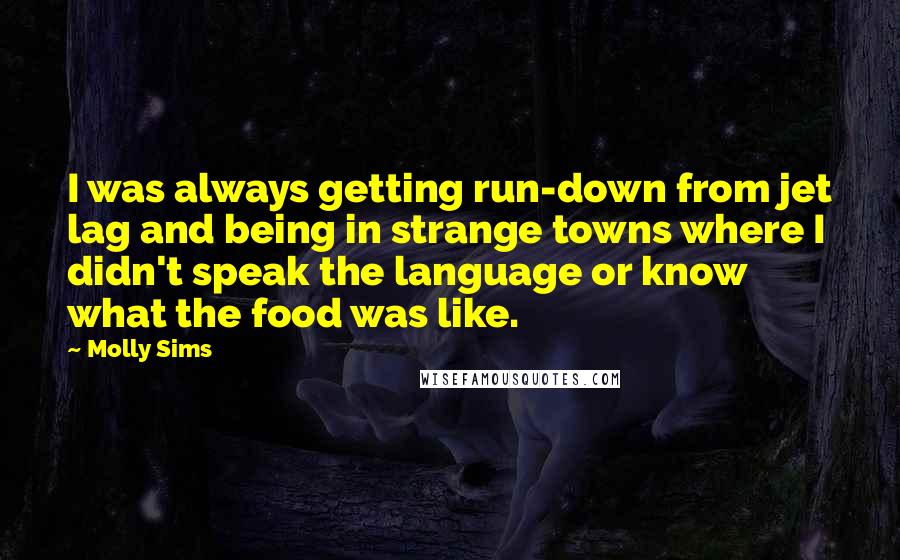 Molly Sims Quotes: I was always getting run-down from jet lag and being in strange towns where I didn't speak the language or know what the food was like.