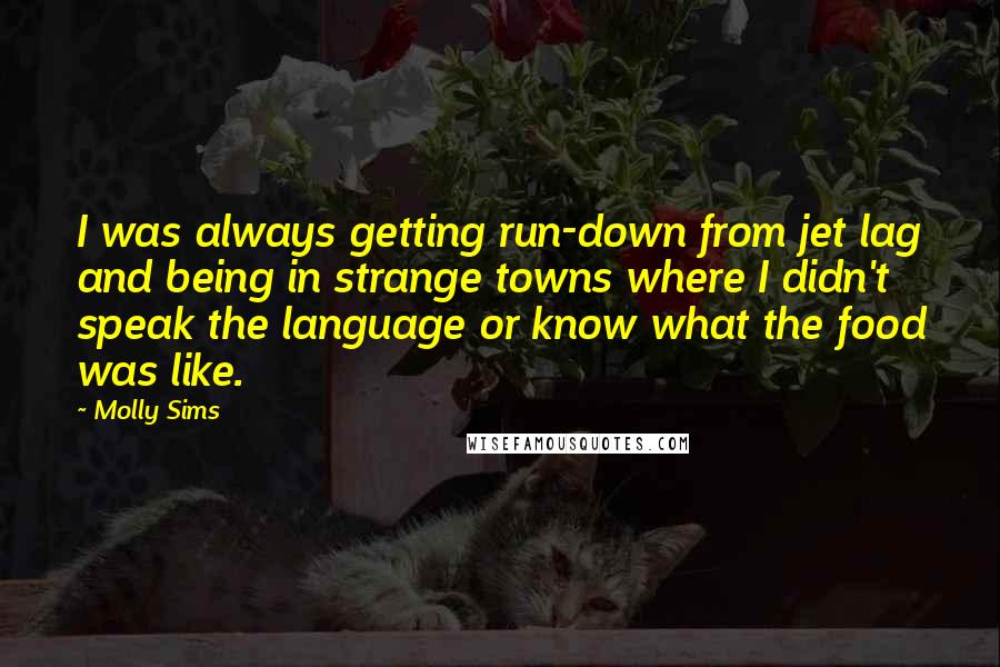 Molly Sims Quotes: I was always getting run-down from jet lag and being in strange towns where I didn't speak the language or know what the food was like.