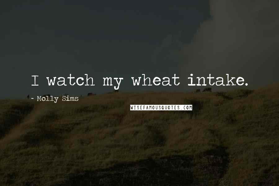 Molly Sims Quotes: I watch my wheat intake.