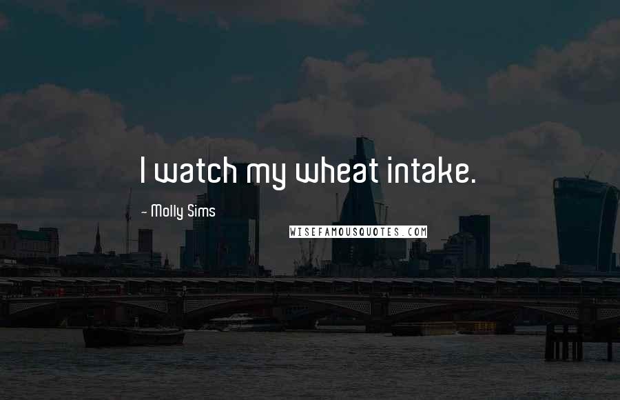 Molly Sims Quotes: I watch my wheat intake.