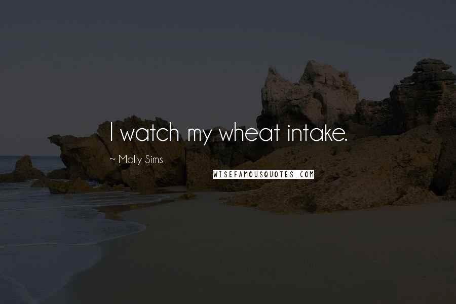 Molly Sims Quotes: I watch my wheat intake.