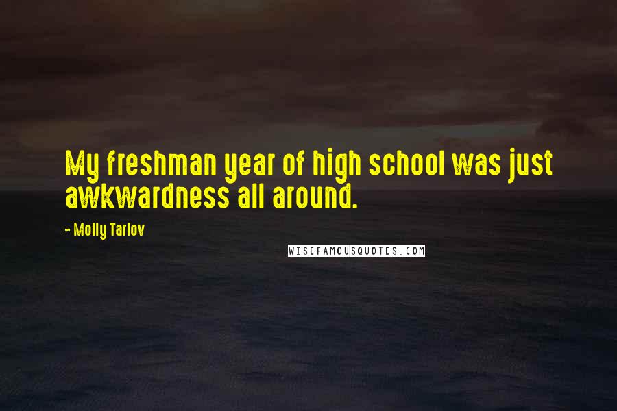 Molly Tarlov Quotes: My freshman year of high school was just awkwardness all around.