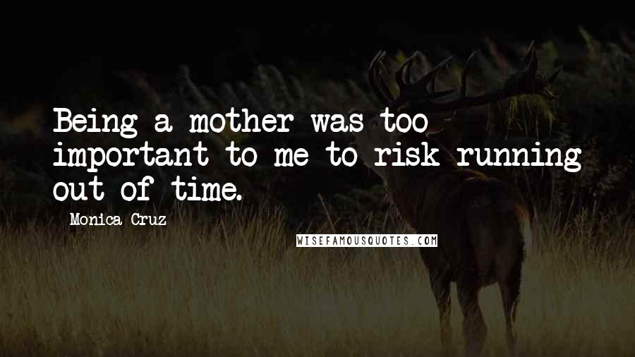 Monica Cruz Quotes: Being a mother was too important to me to risk running out of time.